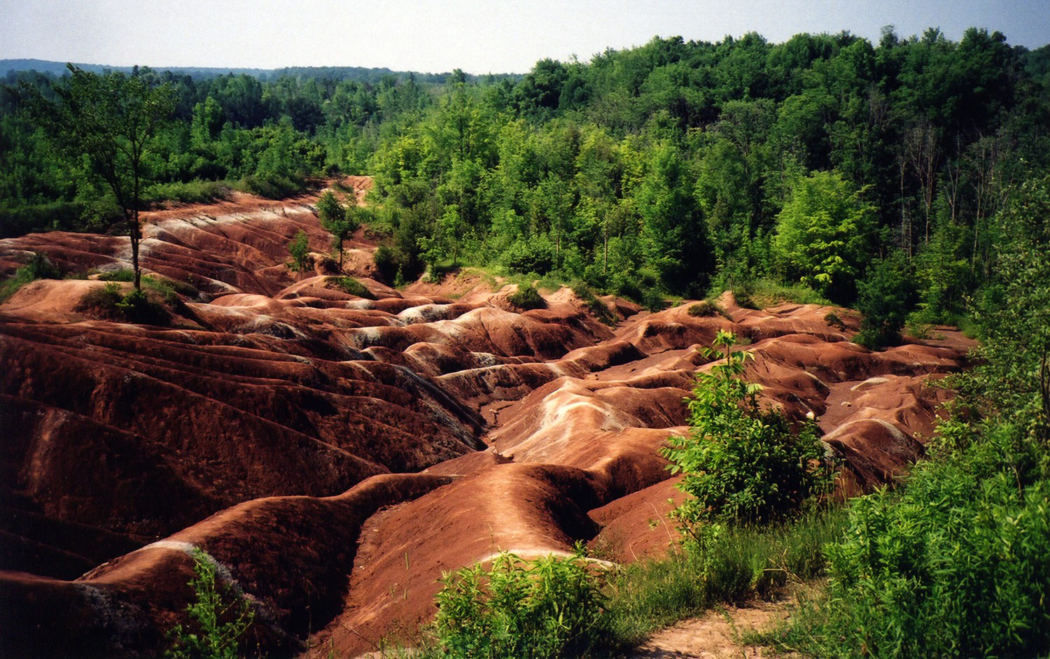 Les badlands de Chinguacousy