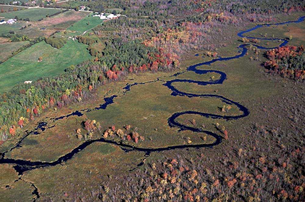 Le marais de la rivière Beaver (Photo : Lou Wise)