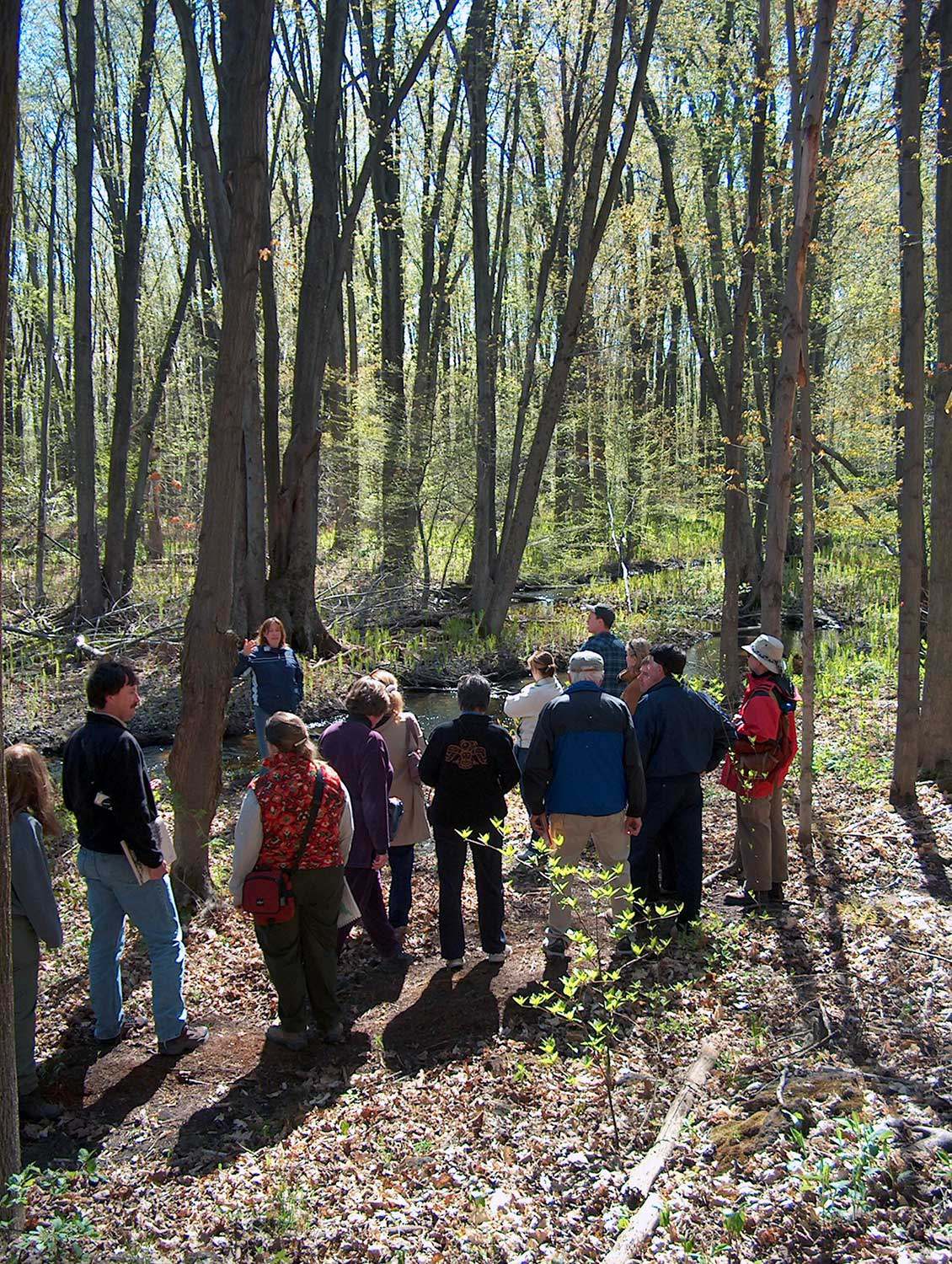 Discussion sur le terrain dans la forêt Speyside au sujet de la gestion de la propriété entre le personnel de la Bruce Trail Association, de la Fiducie du patrimoine ontarien, du ministère des Richesses naturelles et de Conservation Halton (Photo : Eric Boysen, ministère des Richesses naturelles)