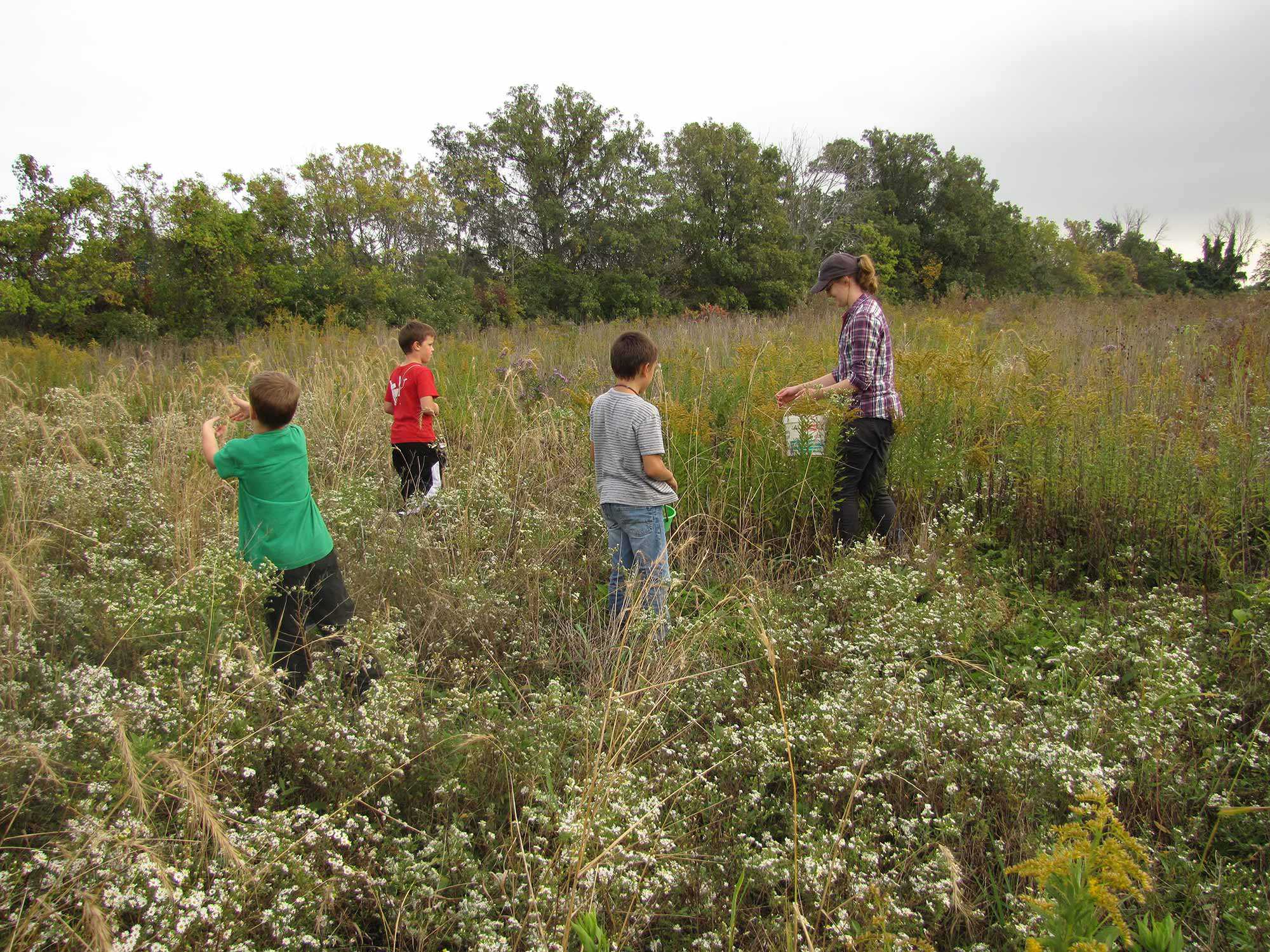 Les enfants de la Pelee Island Public School aident à récolter des graines pour les projets de restauration