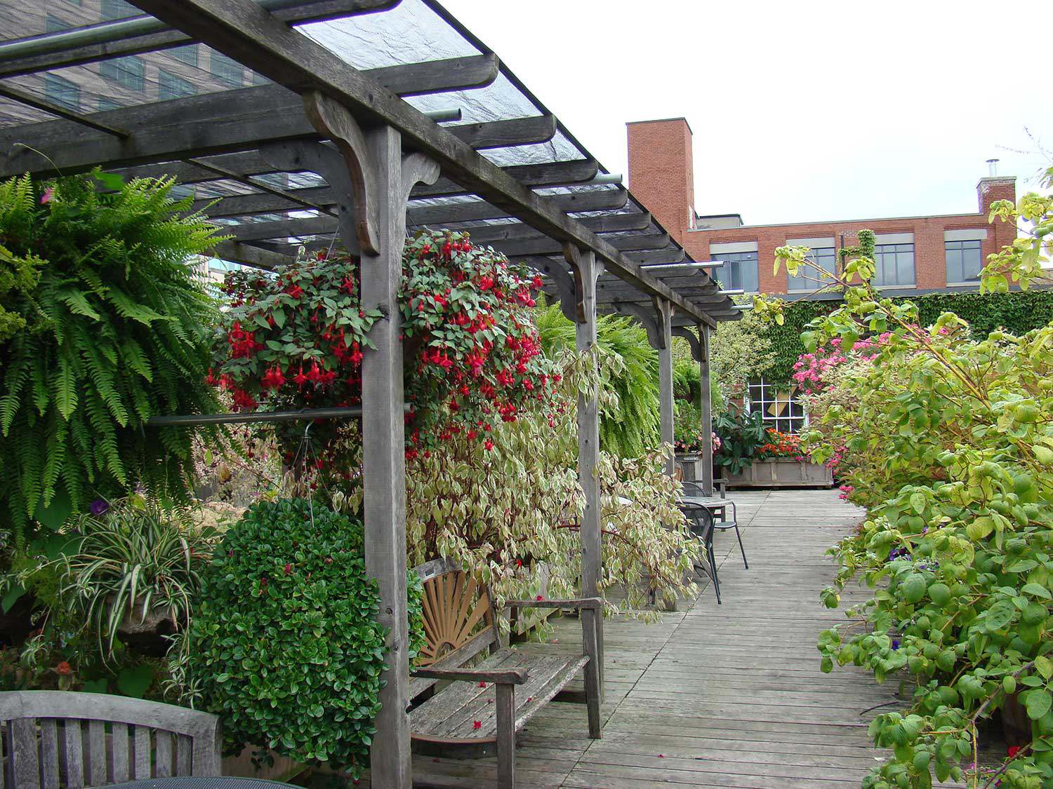 401, rue Richmond, Toronto – un exemple de toit vert