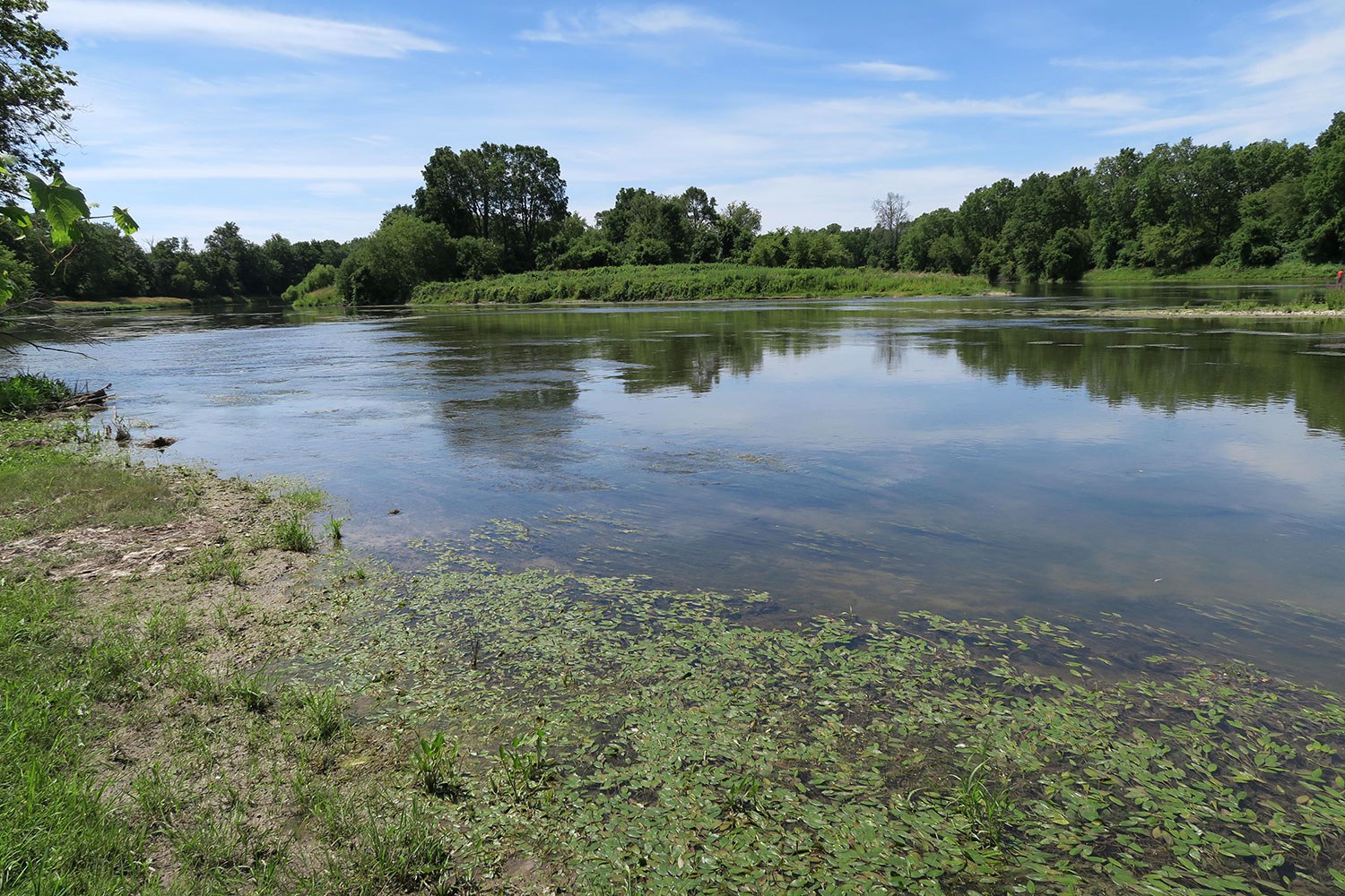 La rivière Grand au Lieu historique national Ruthven Park près de Cayuga.