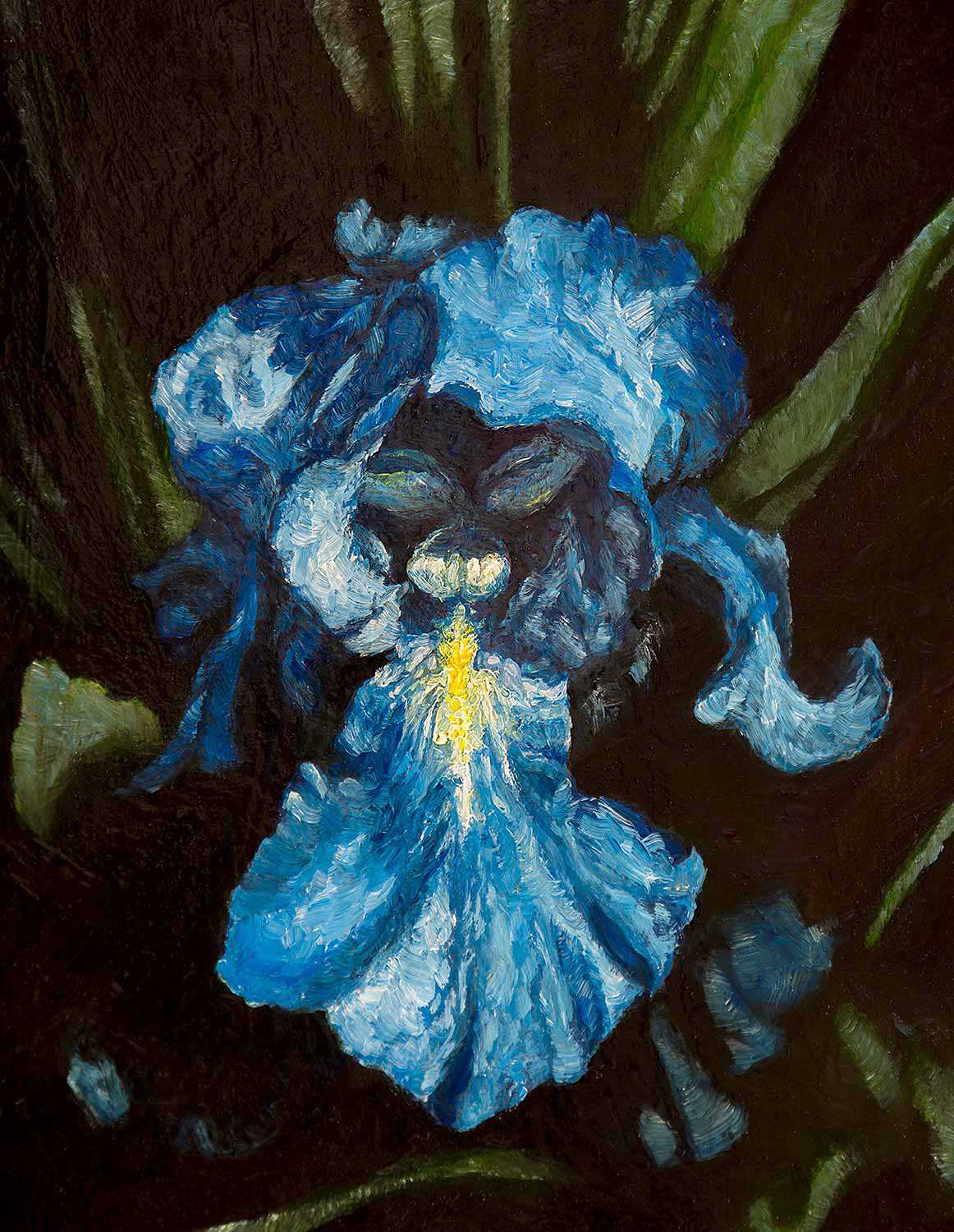 Iris (Iris), par Grayden Laing, huile sur panneau