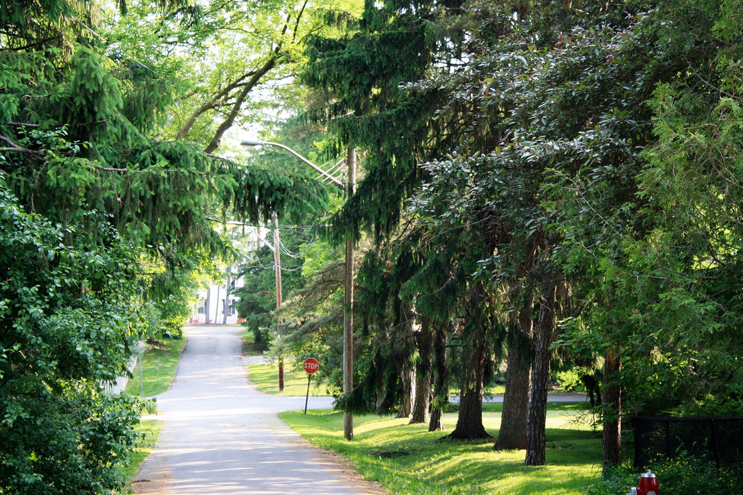 Paysage de rue de la Barberry Lane dans le DCP de Meadowvale Village (Photo : ville de Mississauga)