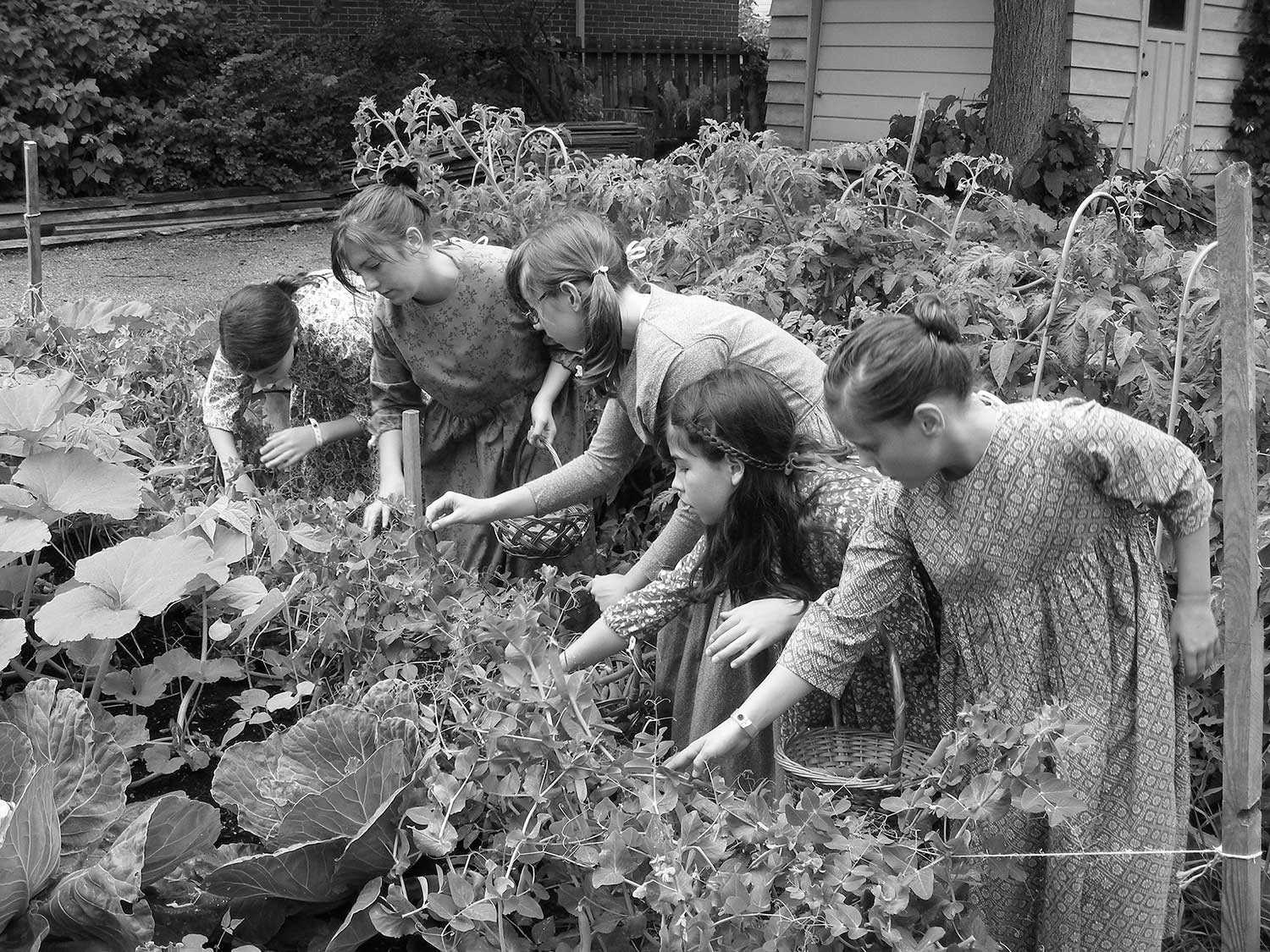 De jeunes bénévoles à l’œuvre dans le jardin de la maison Hutchison