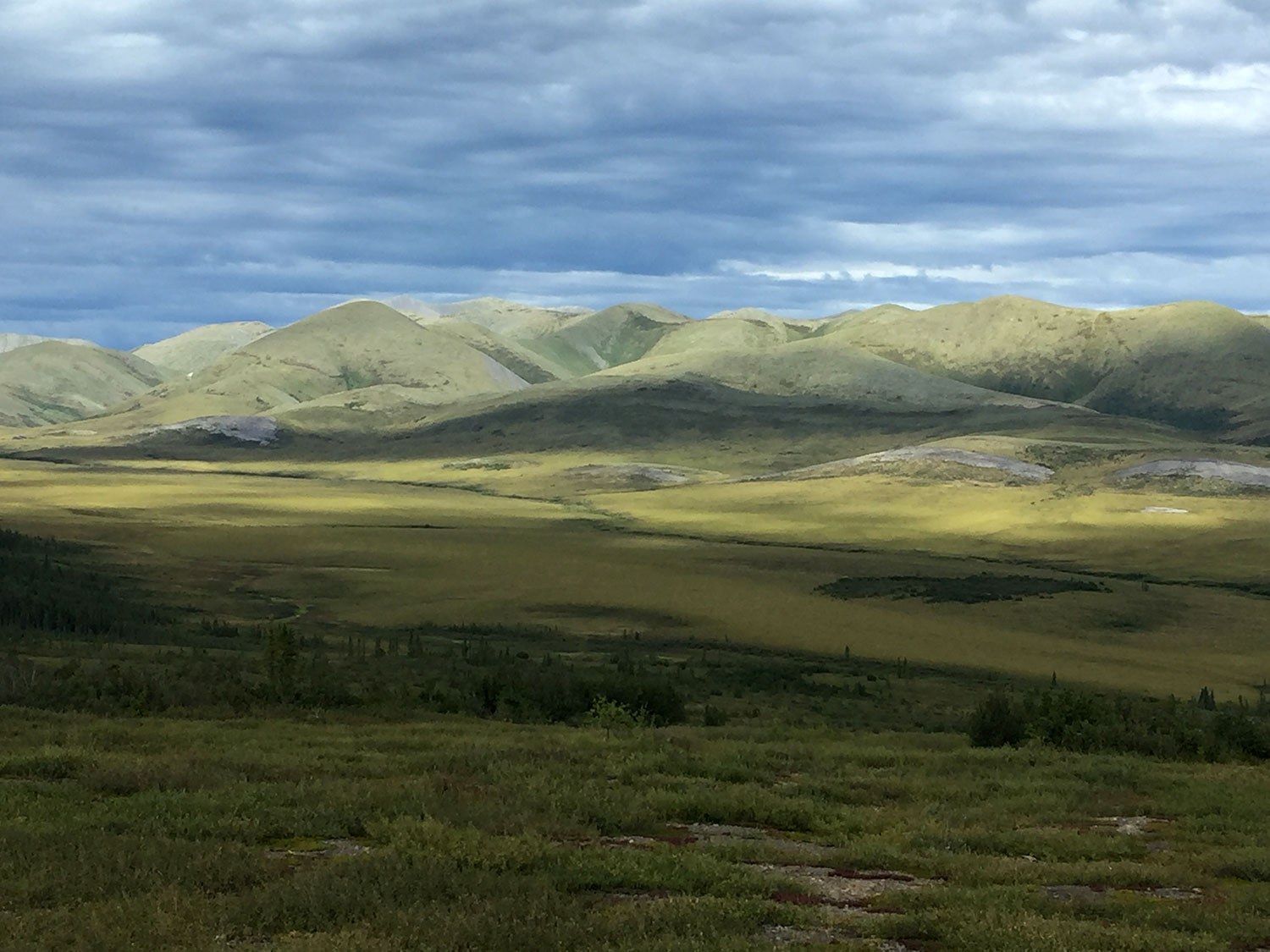 Les chaînons Richardson, aux Territoires du Nord-Ouest, font partie de la vaste voie migratoire transfrontalière de la harde de caribous de la Porcupine et il s’agit d’un exemple d’un grand paysage. (Photo : Lisa Prosper)