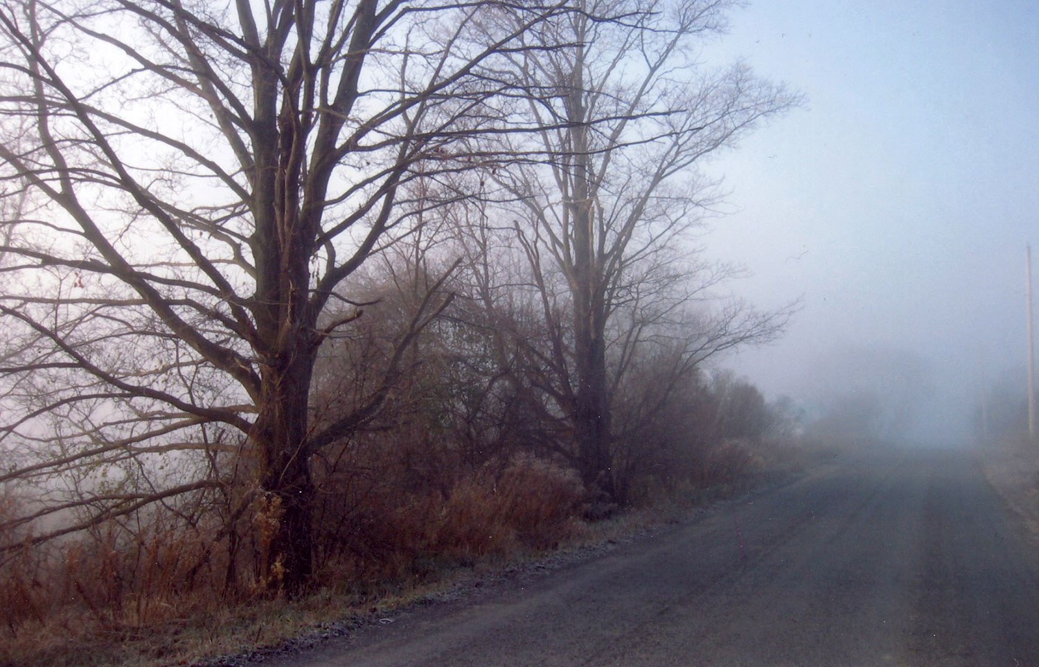 Nombre de routes de campagne ontariennes présentent encore les indices des plantations d’arbres commencées à la fin du XIXe siècle. Remplacer ces arbres anciens par de nouveaux garantira le maintien du caractère spécifique de ce réseau rural.