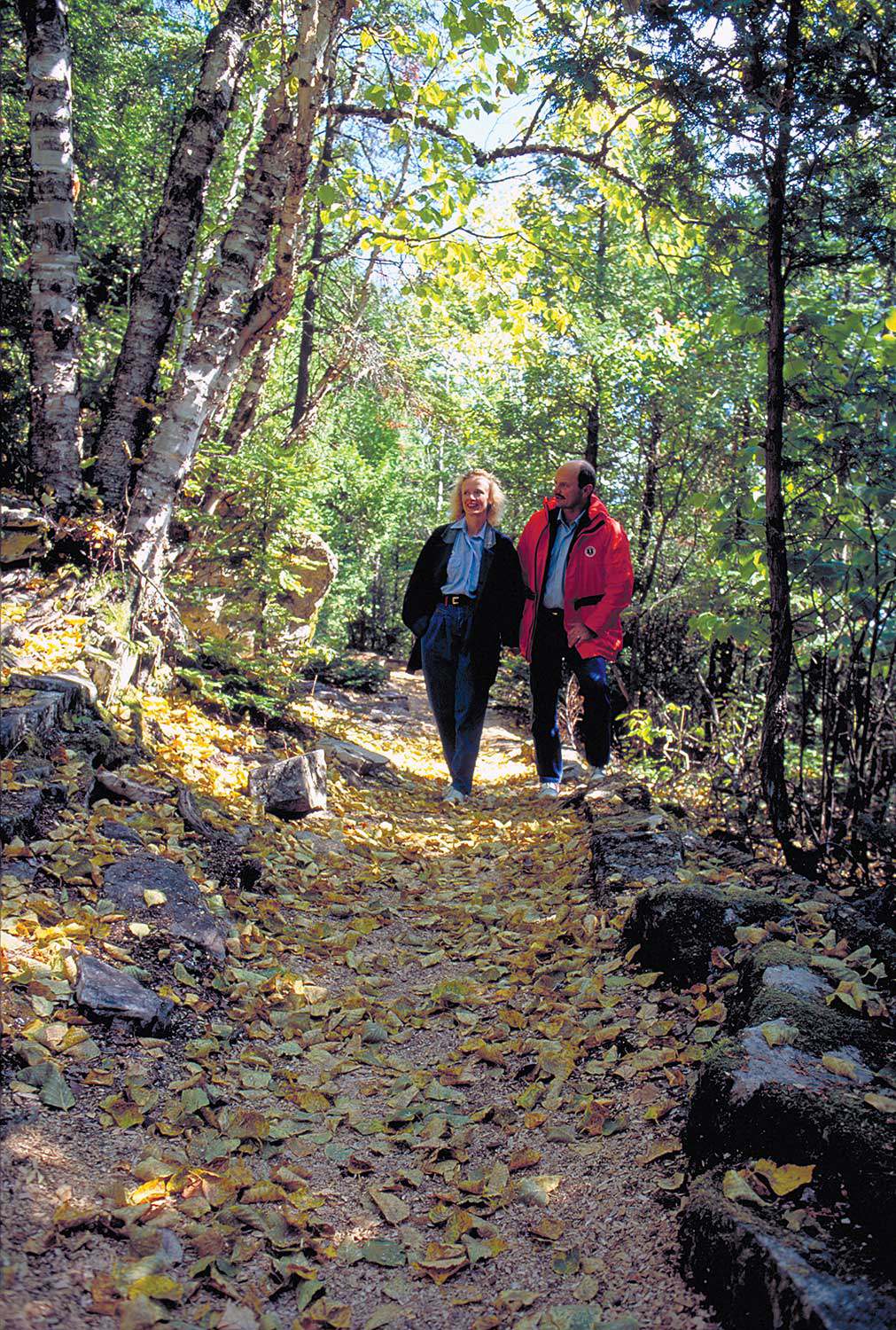 Les sentiers de randonnée près de Tobermory sont fréquentés toute l’année (Photo : Tourisme Ontario)