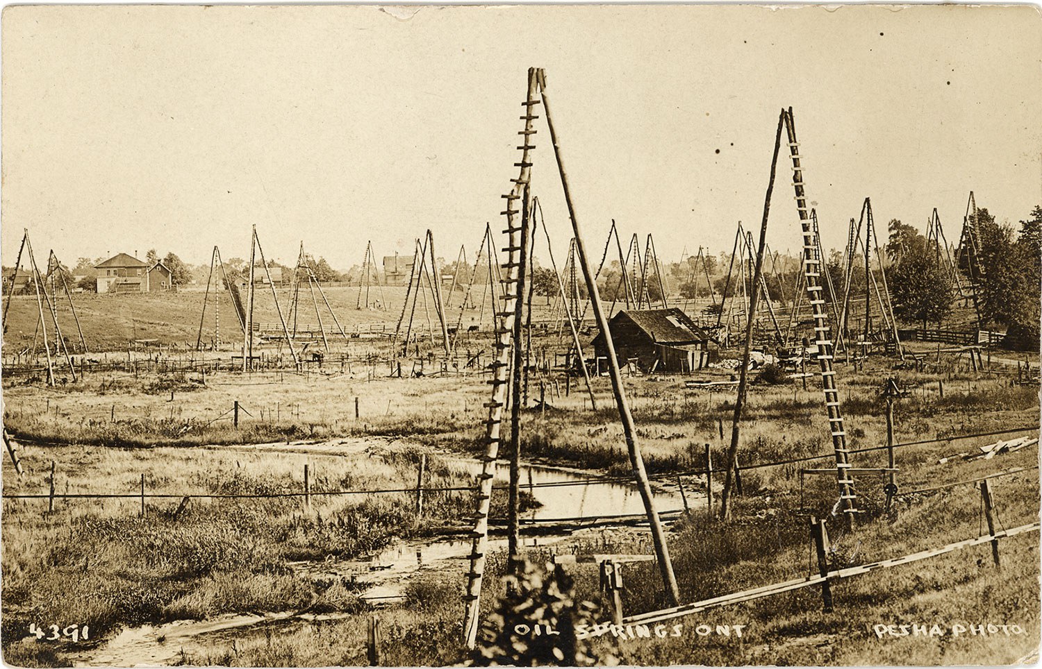 Vue sur quelques-unes des 1 100 tours de forage triangulaires utilisées à Oil Springs vers 1910.